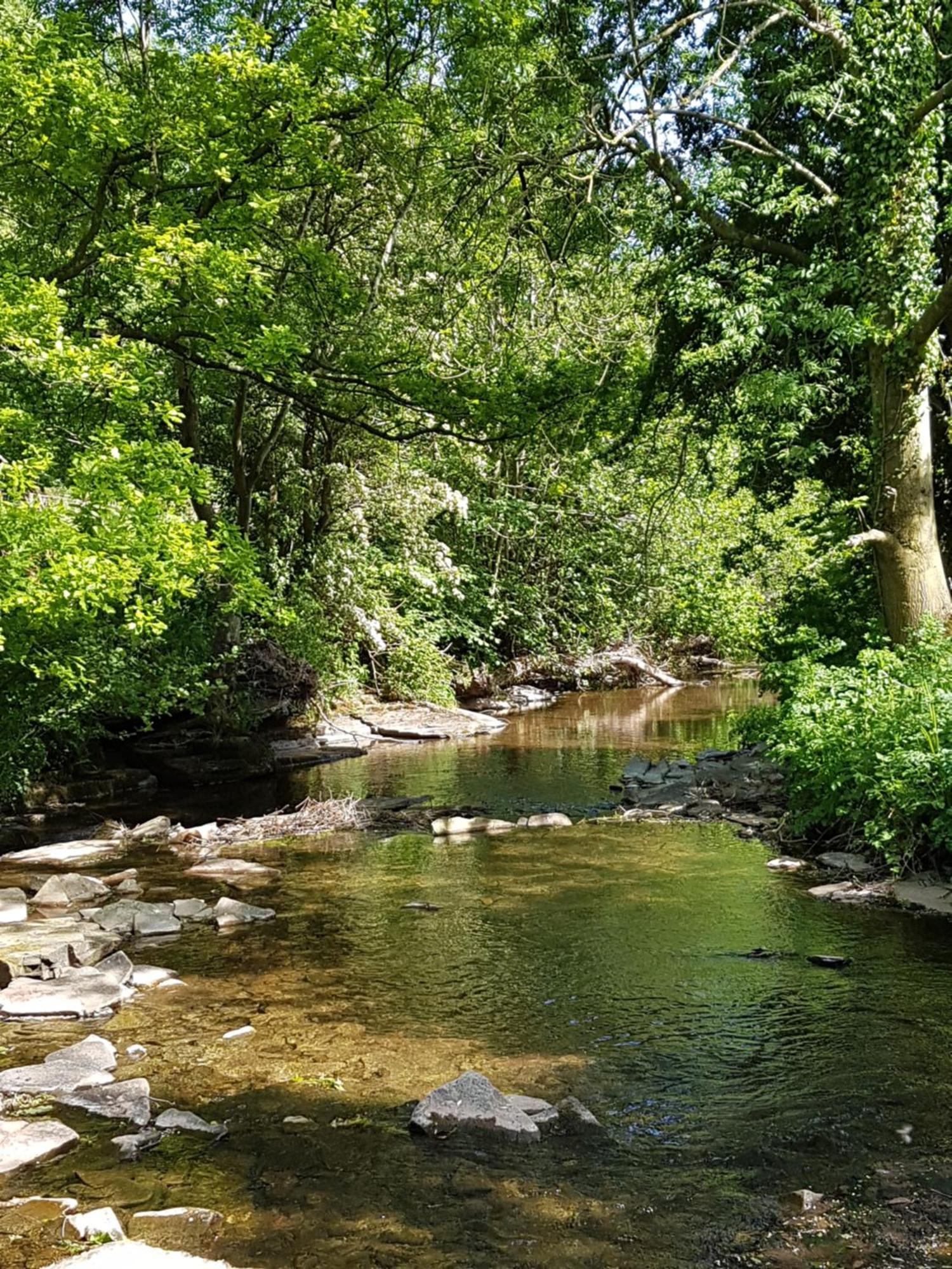 River Cottage@Cwm Mill - Riverside Family Holidays In The Black Mountains 赫里福德 外观 照片